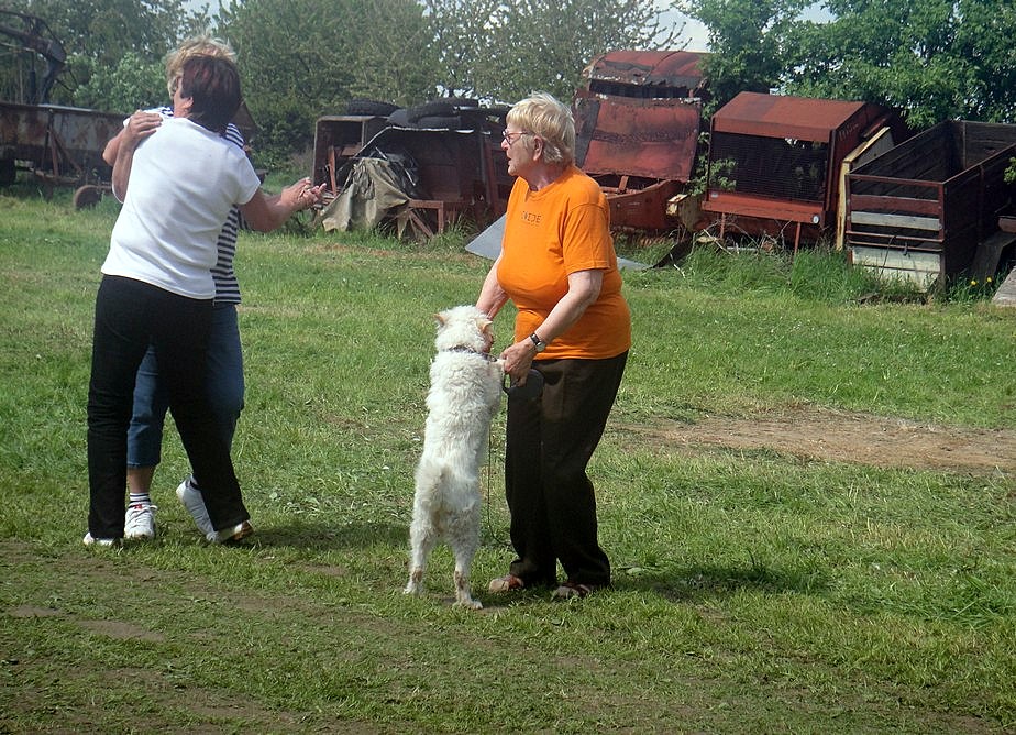 Pucheř 2013 Dača 050-001